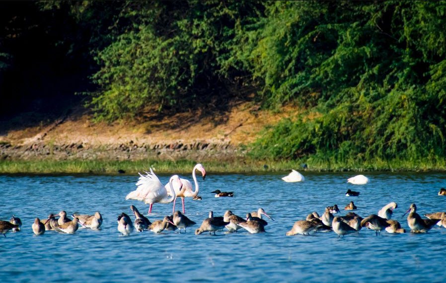 Thol Lake
